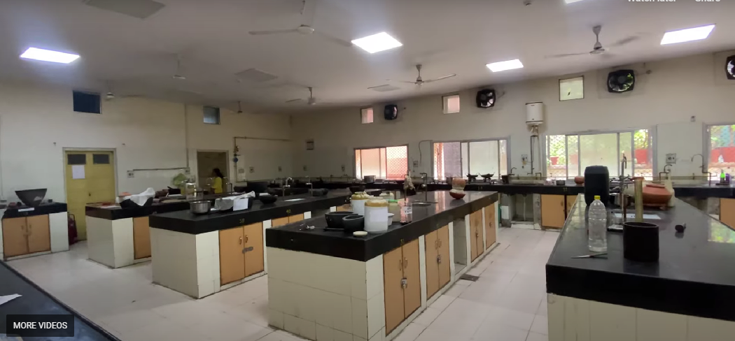 National Institute of Ayurveda, Jaipur  campus view 14