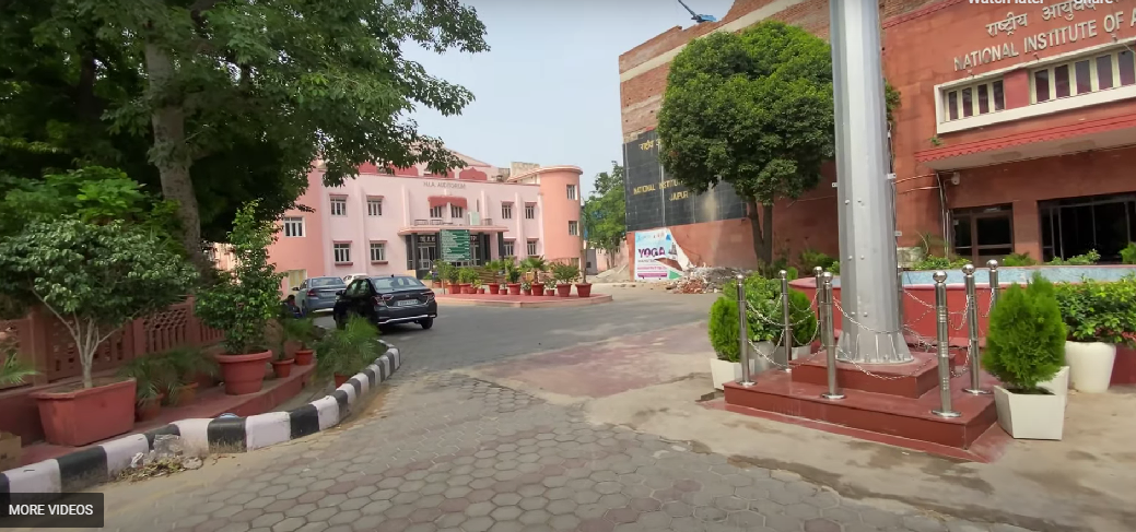 National Institute of Ayurveda, Jaipur  campus view 16