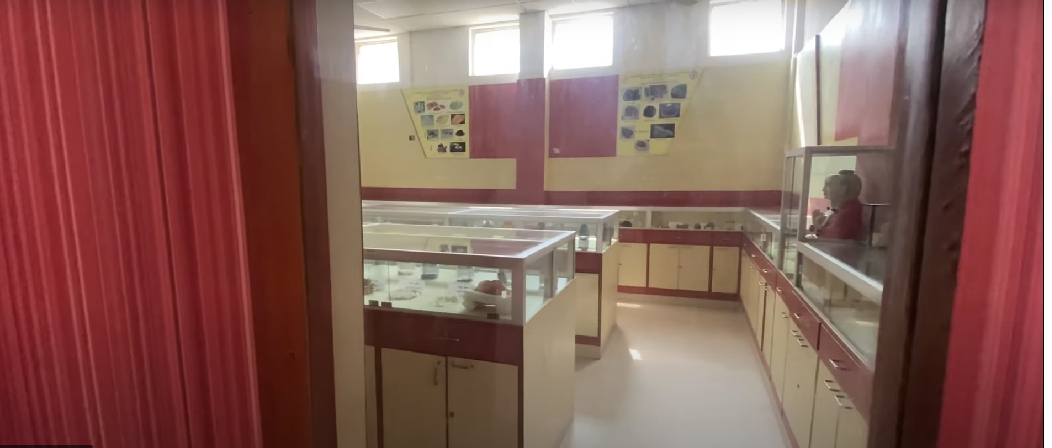 National Institute of Ayurveda, Jaipur  campus view 17