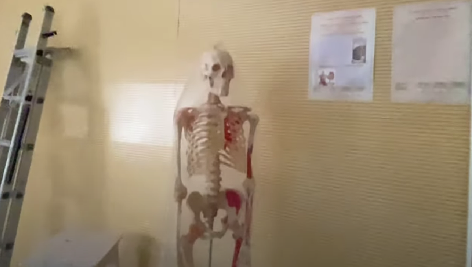 National Institute of Ayurveda, Jaipur  campus view 18