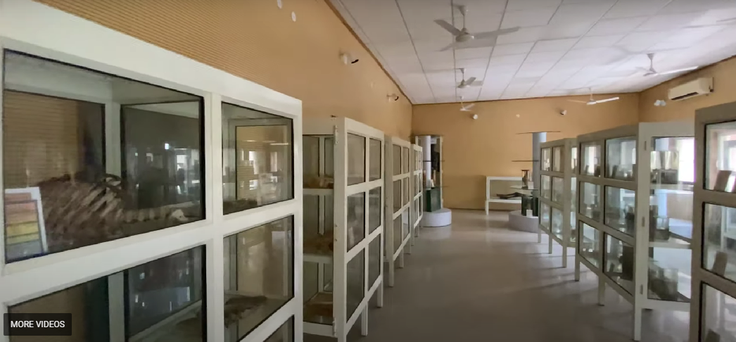 National Institute of Ayurveda, Jaipur  campus view 20