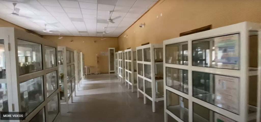 National Institute of Ayurveda, Jaipur  campus view 23