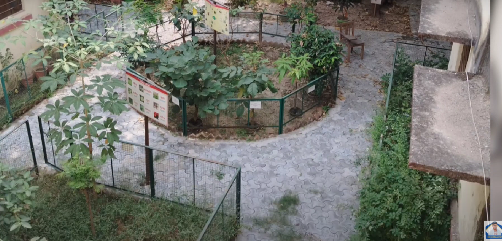 Madan Mohan Malviya Government Ayurved College, Udaipur, Rajasthan campus view 16