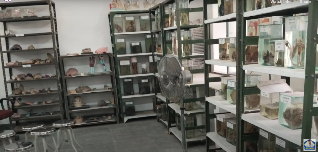 Madan Mohan Malviya Government Ayurved College, Udaipur, Rajasthan campus view 26