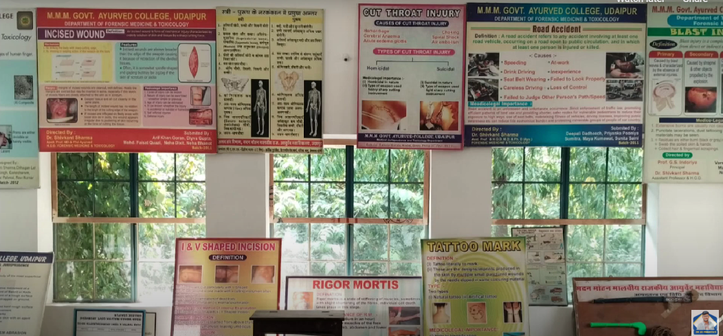 Madan Mohan Malviya Government Ayurved College, Udaipur, Rajasthan campus view 27