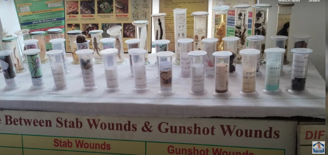 Madan Mohan Malviya Government Ayurved College, Udaipur, Rajasthan campus view 28