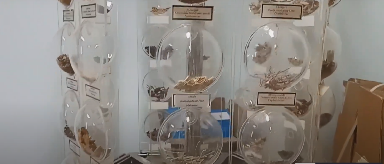 Institute of Teaching Ayurveda, Jamnagar, Gujarat campus view 32