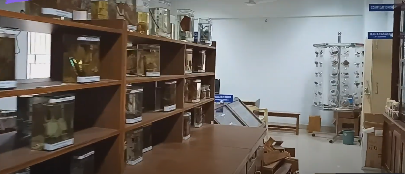 Institute of Teaching Ayurveda, Jamnagar, Gujarat campus view 33