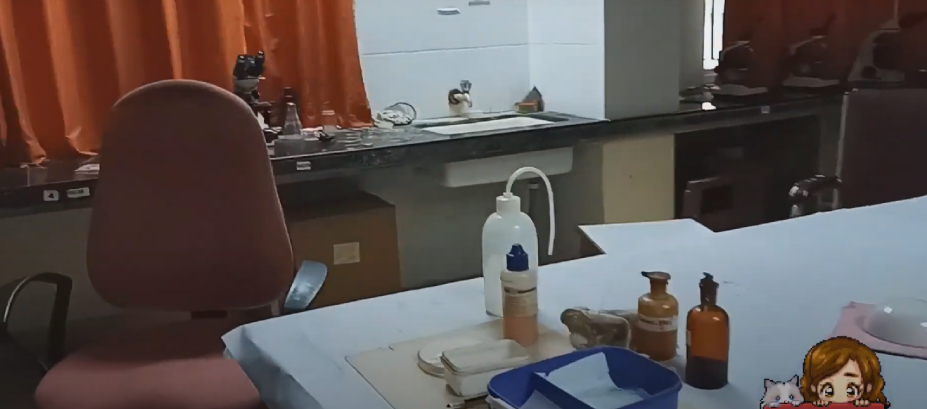 Institute of Teaching Ayurveda, Jamnagar, Gujarat campus view 37