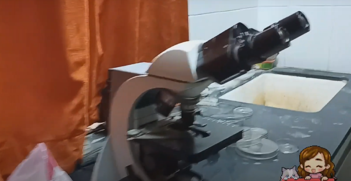 Institute of Teaching Ayurveda, Jamnagar, Gujarat campus view 38