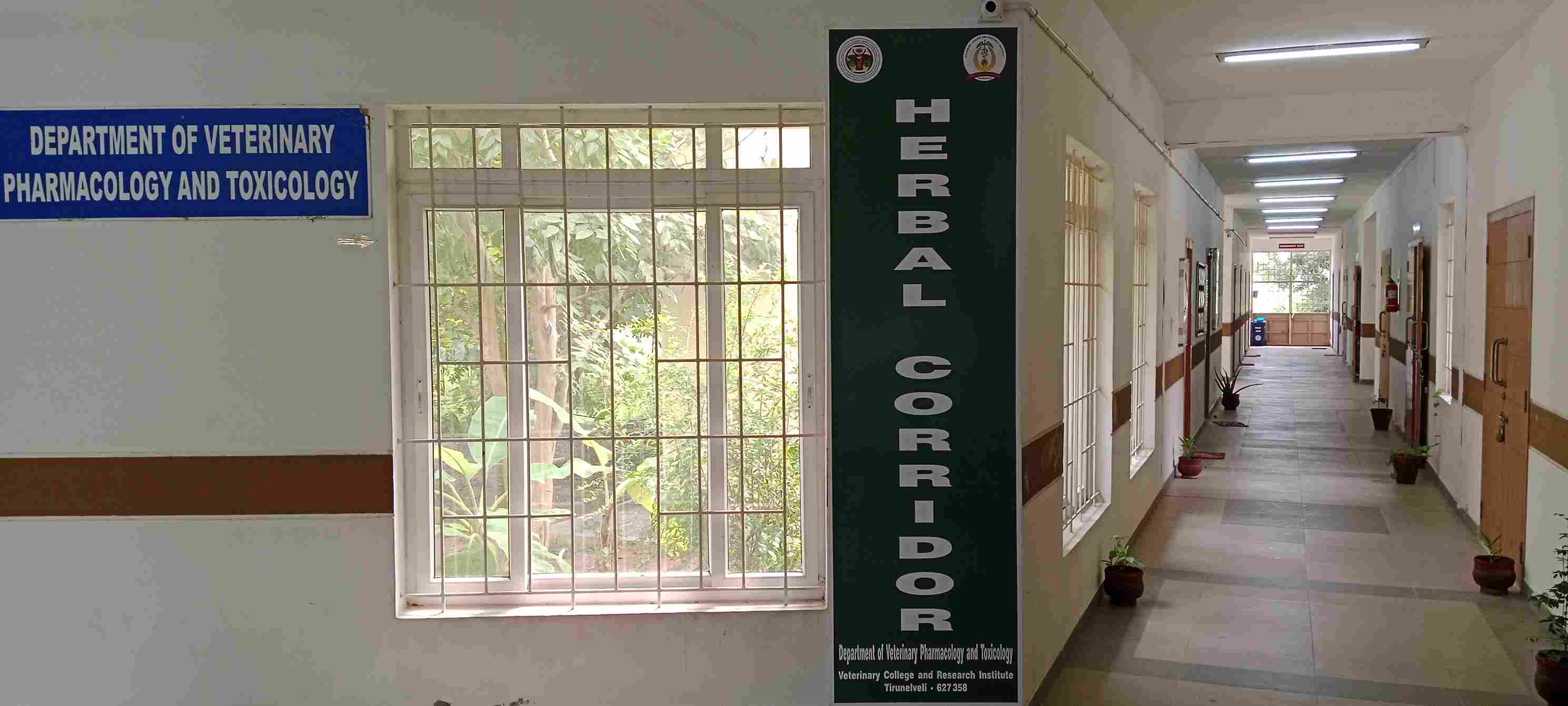 Veterinary College & Research Institute, Tirunelveli campus view 4