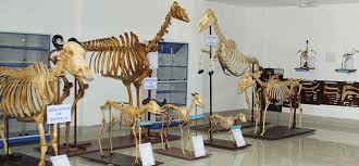 College Campus Image