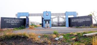 College Campus Image