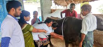 College Campus Image