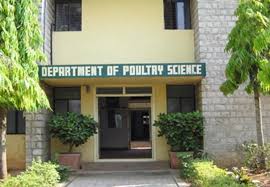 College Campus Image