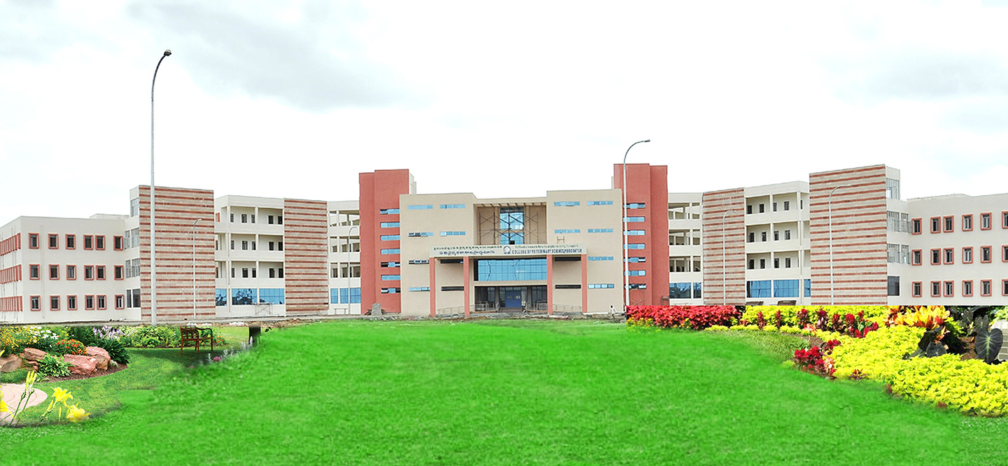 College Campus Image