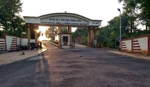 Nagpur Veterinary College, Seminary Hills, Nagpur campus view 4