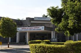 College of Veterinary & AH, Sardarkrushinagar campus view 2