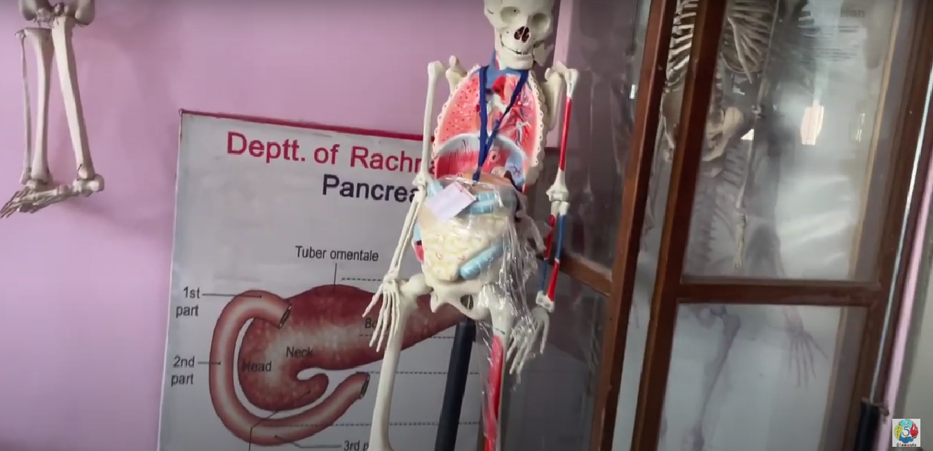 Shri Krishna Govt. Ayurvedic College, Kurukshetra, Haryana campus view 6