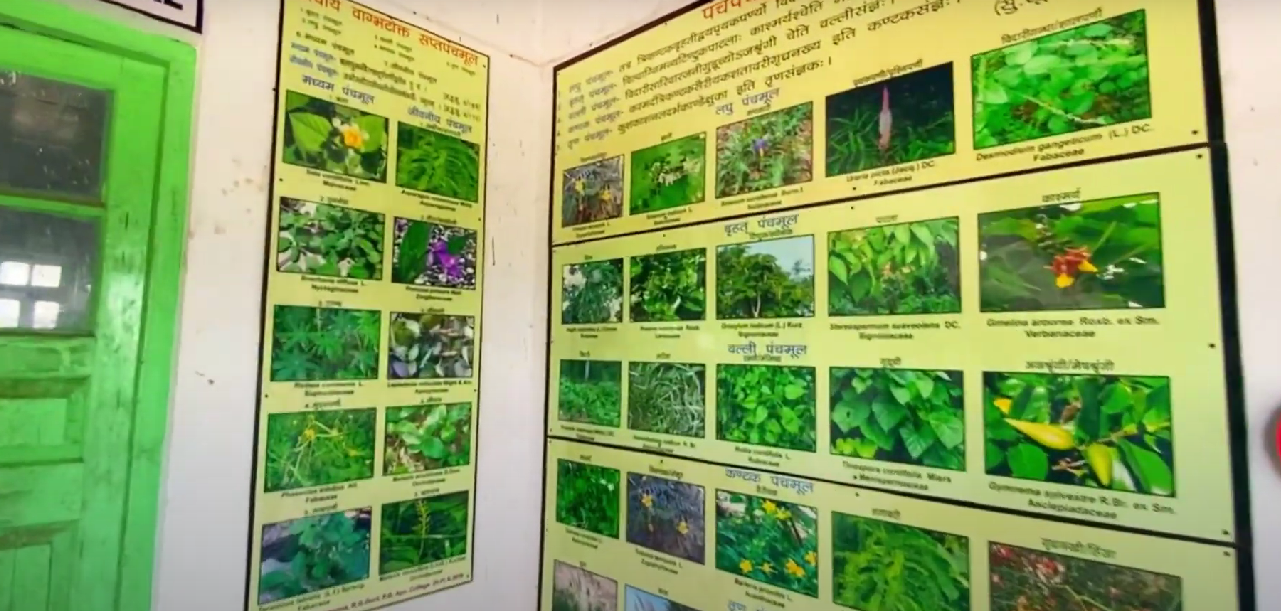 Rajiv Gandhi GAC College, Paprola ,H.P. campus view 2