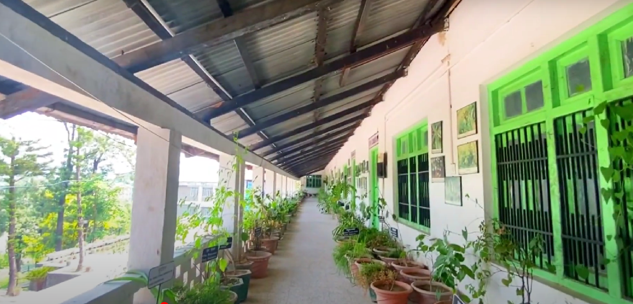 Rajiv Gandhi GAC College, Paprola ,H.P. campus view 6