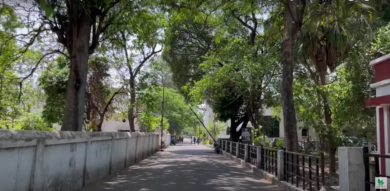 College Campus Image