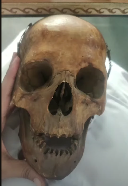 S.R.M. Government Ayurvedic College and Hospital, Bareilly, Uttar Pradesh: campus view 7