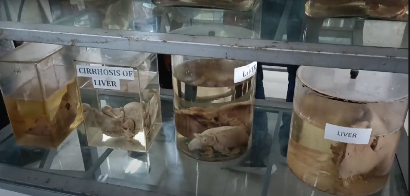 Govt. Ayurveda Coll, Thiruvananthapuram, Kerala  campus view 12