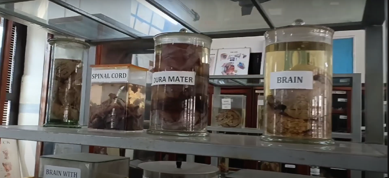 Govt. Ayurveda Coll, Thiruvananthapuram, Kerala  campus view 14