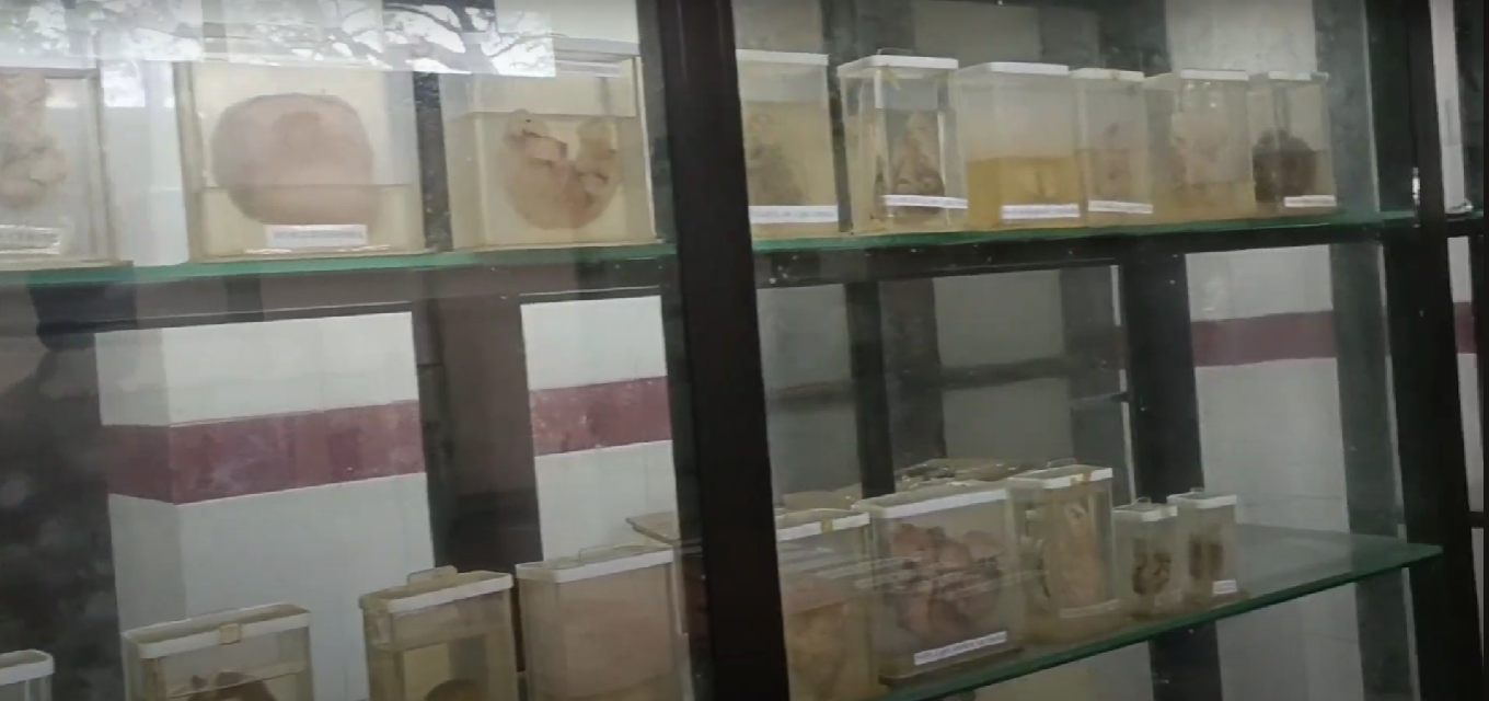 Govt. Ayurveda Coll, Thiruvananthapuram, Kerala  campus view 26