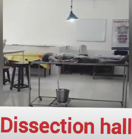 College Campus Image