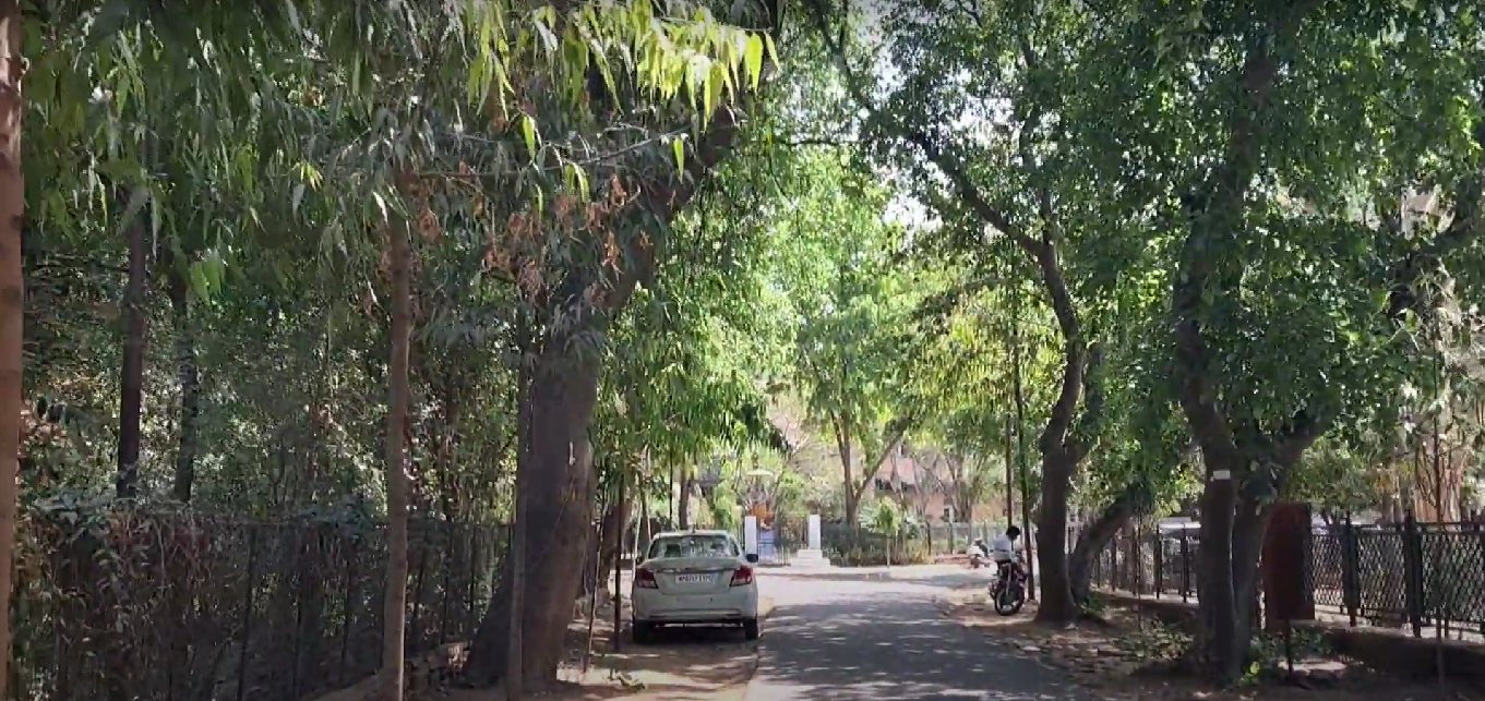 College Campus Image