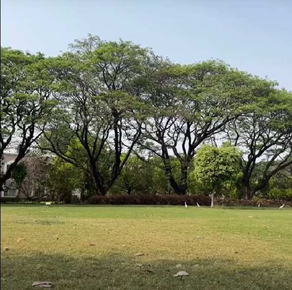 Government Ayurved College & Hospital, Baramati, Pune, Maharashtra campus view 5