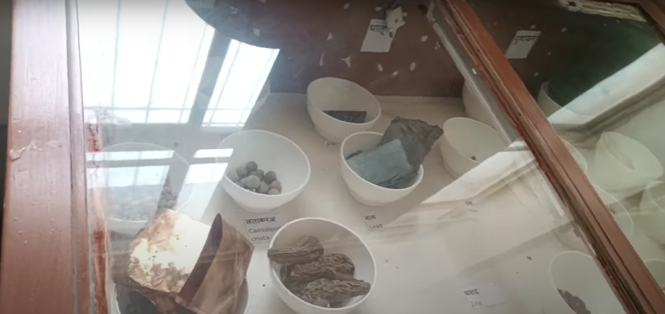 Tilak Ayurved Mahavidyalaya, Pune, MS  campus view 31