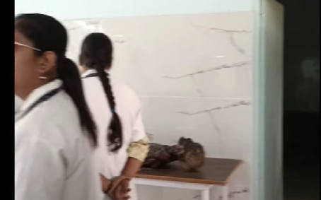 Tilak Ayurved Mahavidyalaya, Pune, MS  campus view 41