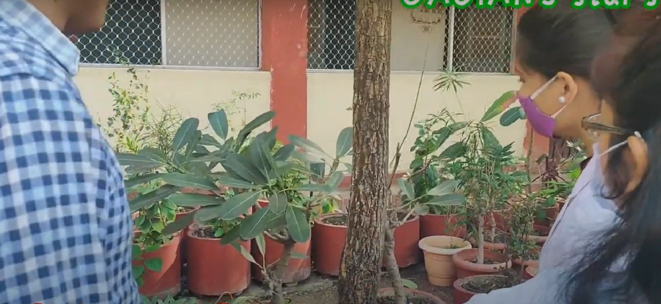 College Campus Image