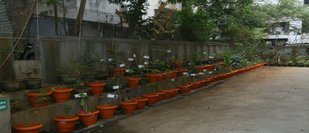Ashtang Ayurved Mahavidyalaya, Pune, Maharashtra campus view 2