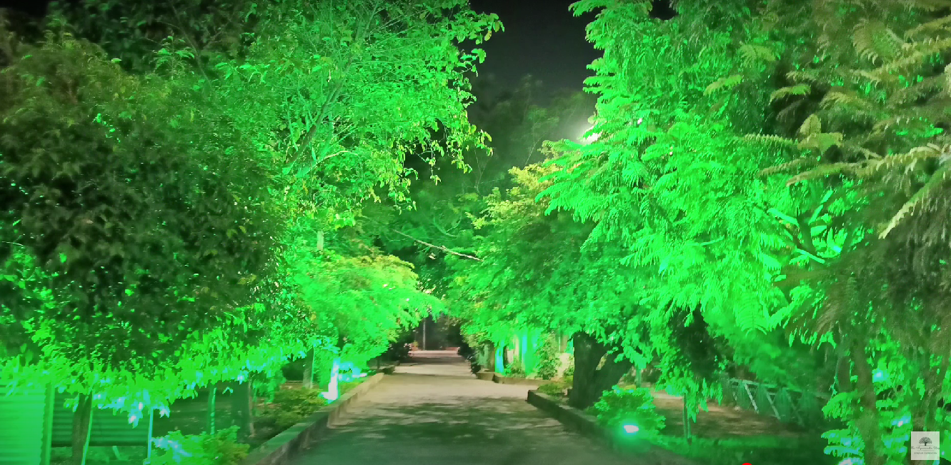 College Campus Image