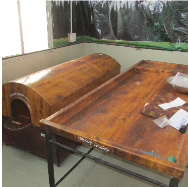  Government Ayurved College, Rewa, Madhya Pradesh campus view 8