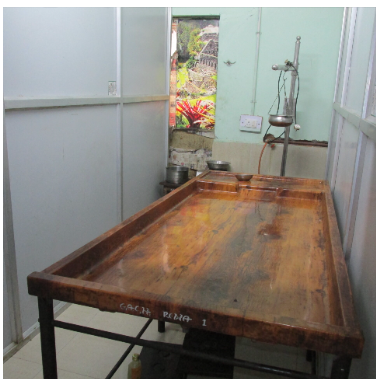  Government Ayurved College, Rewa, Madhya Pradesh campus view 22