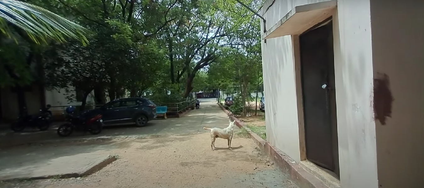 Dr. B R K R Government Ayurveda College, Hyderabad, Telangana  campus view 9