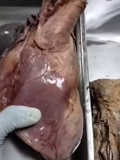 Dr.NR Sastry Govt. Ayurvedic Col, Vijayawada,Andhra Pradesh campus view 8