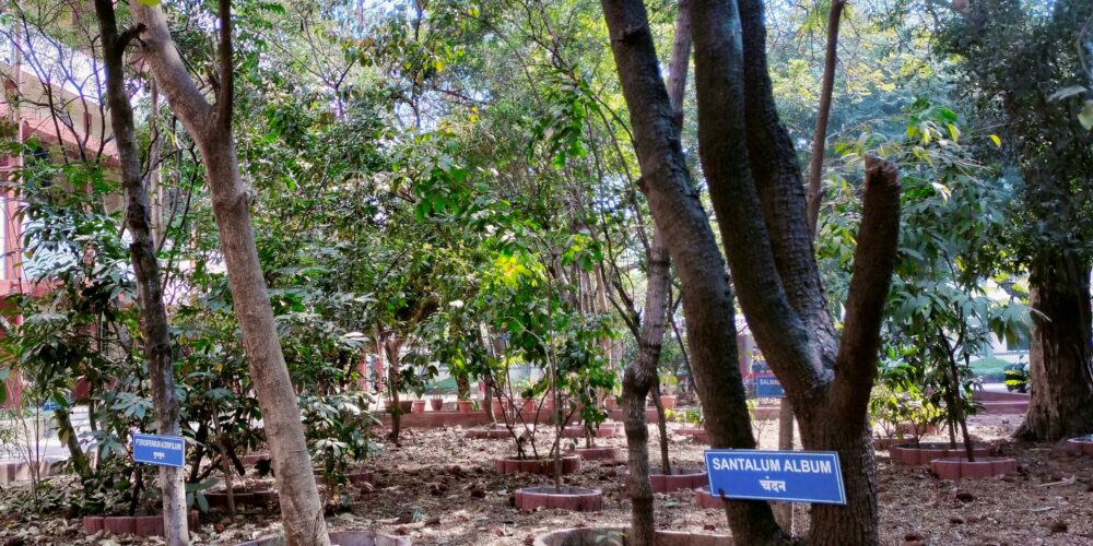 Vasant Dada Patil Ayurved Medical College, Sangli ,Maharastra campus view 7