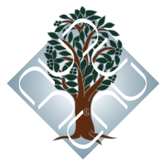 Dr. B.R. Ambedkar University Delhi logo